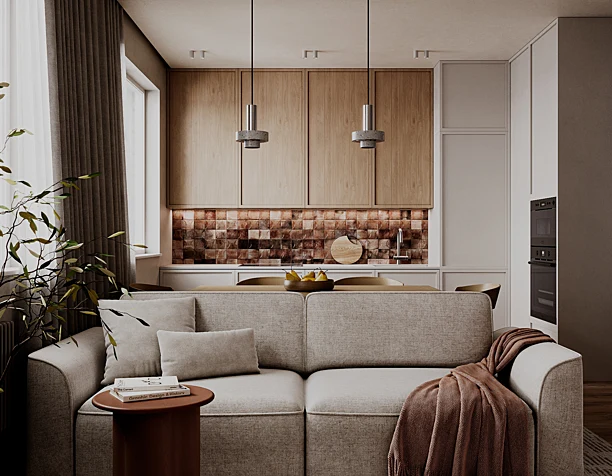Living room + kitchen