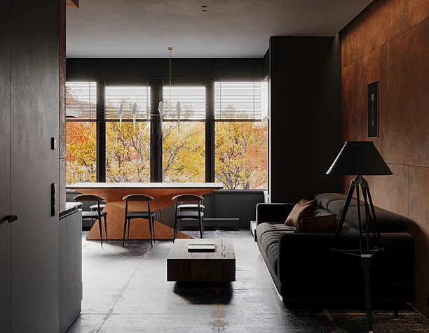 Living room & kitchen in the apartment