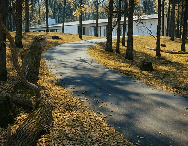 House in forest (сделано по референсу)