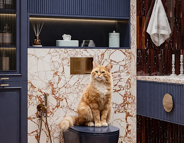 Bathroom Сан узель