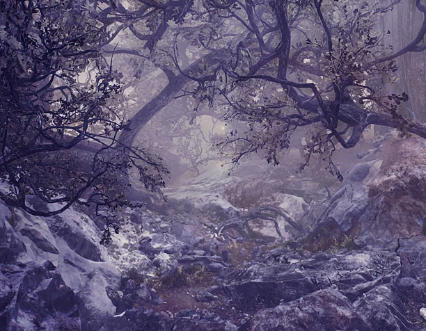 Mystical Forest