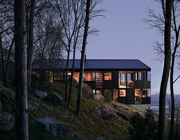 Haus hohlen (сделано по референсу)