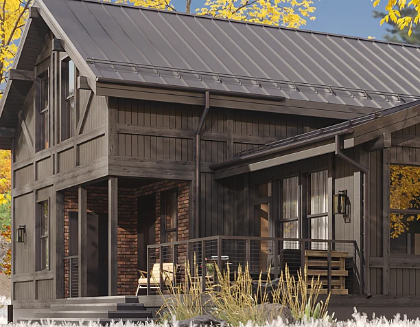 Scandinavian style house