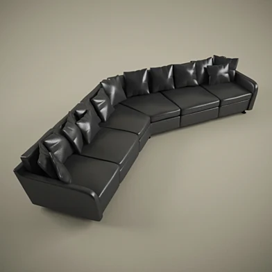 Leather Couch