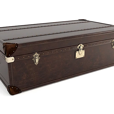 Trunk 6810-0005
