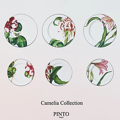 Alberto Pinto / Camelia