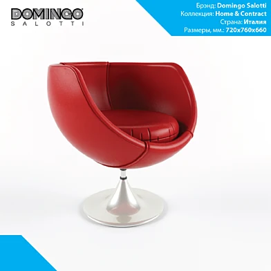 Domingo Salotti