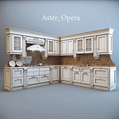 Aster / Opera
