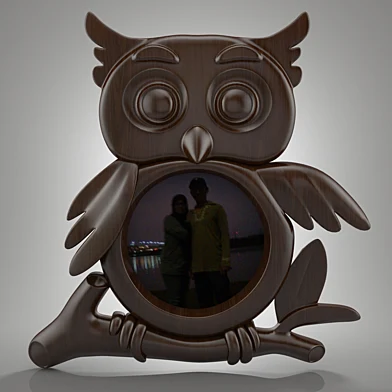 owl