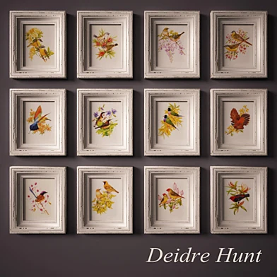 Птицы Австралии. Иллюстратор Deidre Hunt.