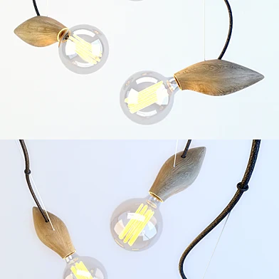 Jangir Maddadi Swarm Lamp