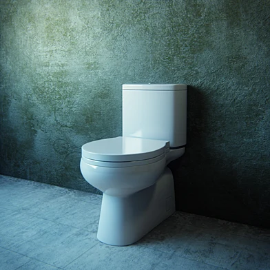toilet