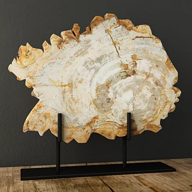 Petrified Wood On Stand