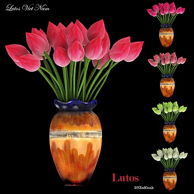 Lutos Vietnamese