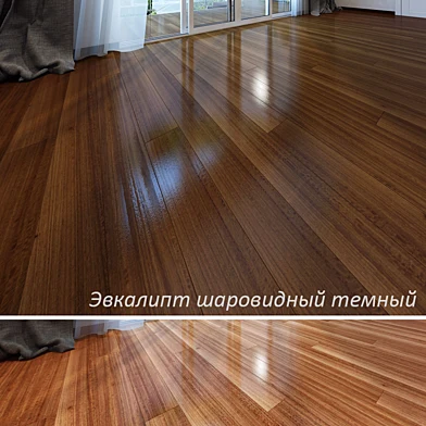Эвкалипт шаровидный темный и Эвкалипт шаровидный