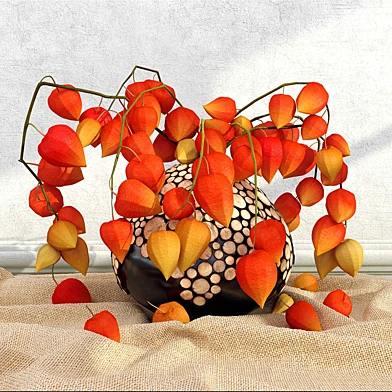 physalis_in_a_vase