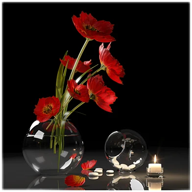 RED POPPIES 2