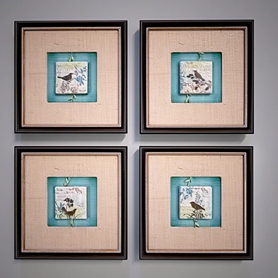 birds provance pictures