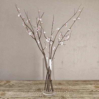 Ветки вишни (Cherry branches)