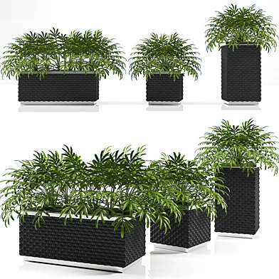 PLANTER BOX