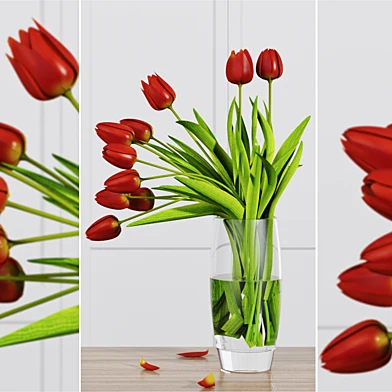 TULIP FLOWERS