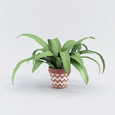 Plants №6