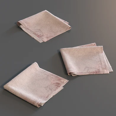 napkin