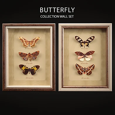 Butterfly Collection Set