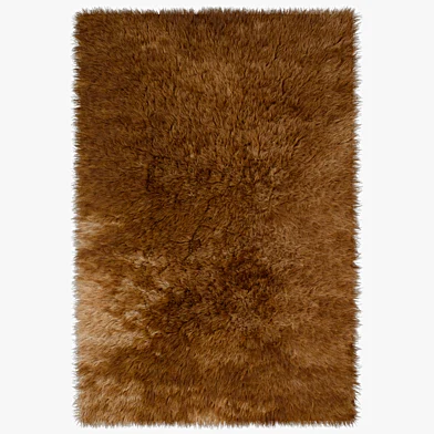 Carpet Brown