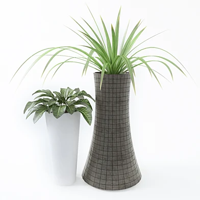Plant 03