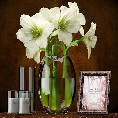 LIGHT YELLOW AMARYLLIS