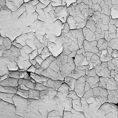 WHITE CRACKED PAINT