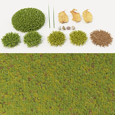 moss_collection