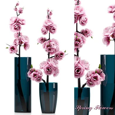 SPRING FLOWERS