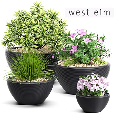 PLANTS 54