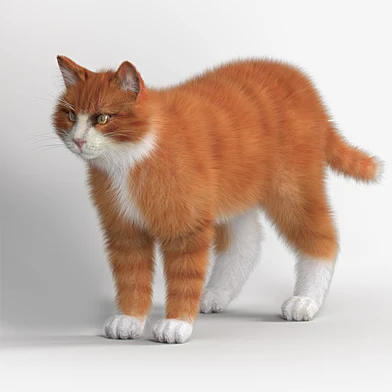 Red Cat