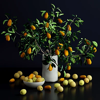 Kumquat and plums