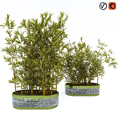 Plant_3