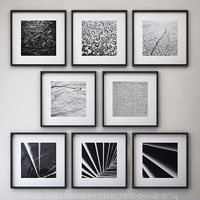 MICHAEL LESSNER Framed