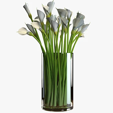 Callas