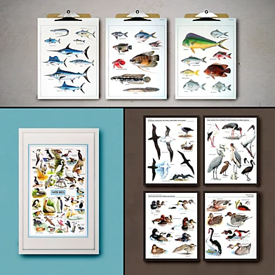 Botanical Vintage Book Pages. 24 Prints (set 2)
