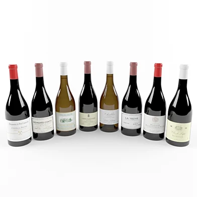 Wine Bottle French Bourgogne