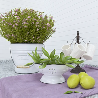 Decorative provance set for kitchen