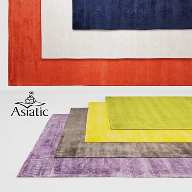 Asiatic Contemporary Home Rugs