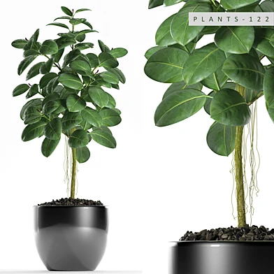 PLANTS 122