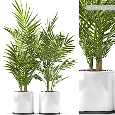 PLANTS 123