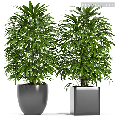 PLANTS 147