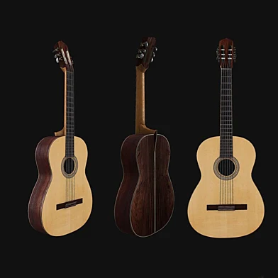 Acoustic guitar