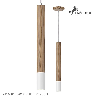 Favourite 2014-1P