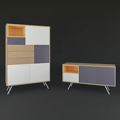BERN CABINET
